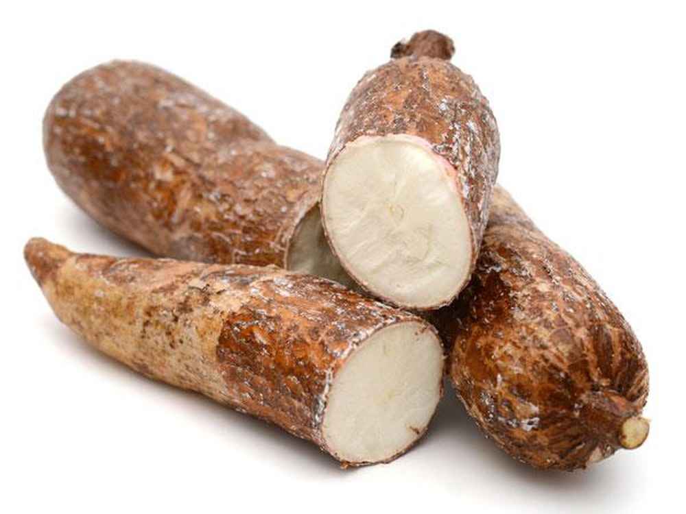 Khoai sắn / Cassava